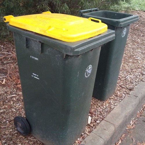 Stream episode Did Canberra's plastic bag ban cause a spike in bin