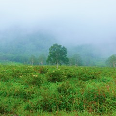 MOUNTAIN@Gunma 170821