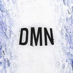 DMN - Recurr