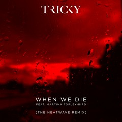Premiere: Tricky - When We Die (The Heatwave Remix)