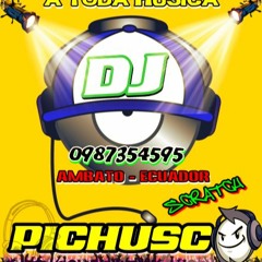112  EL ABORTO REMX DJ PICHUSCO 2017