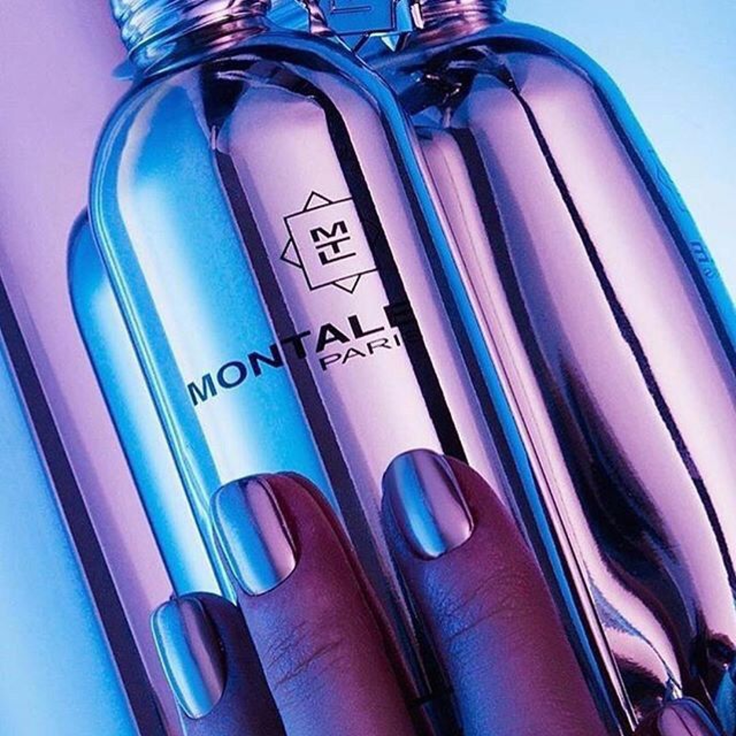 MONTALE / demo