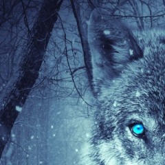 Reflex Condition - Wolf Hunt
