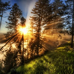 Life's True Hope ©