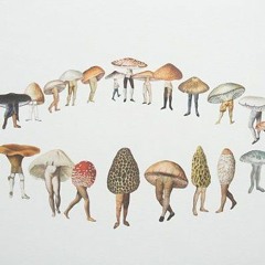 Intro; Reyno Fungi