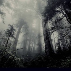 Warpedcore - Sounds Of The Jungle Techno Part 3 - 24th Aug 2017