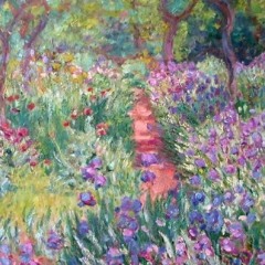 Llueven Luces - prototipo luces