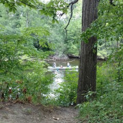Nichols Arboretum - Ambient Thumb Piano, Cicada and Birds by Dr. Cornelius Pianeer
