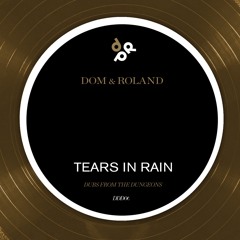 Tears In Rain - Dom & Roland