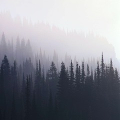 Gavin Luke - Cool Wet Sand