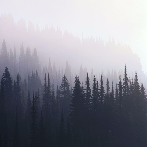 Gavin Luke - Cool Wet Sand