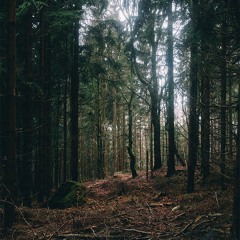 Schlaf tief, mein Kind