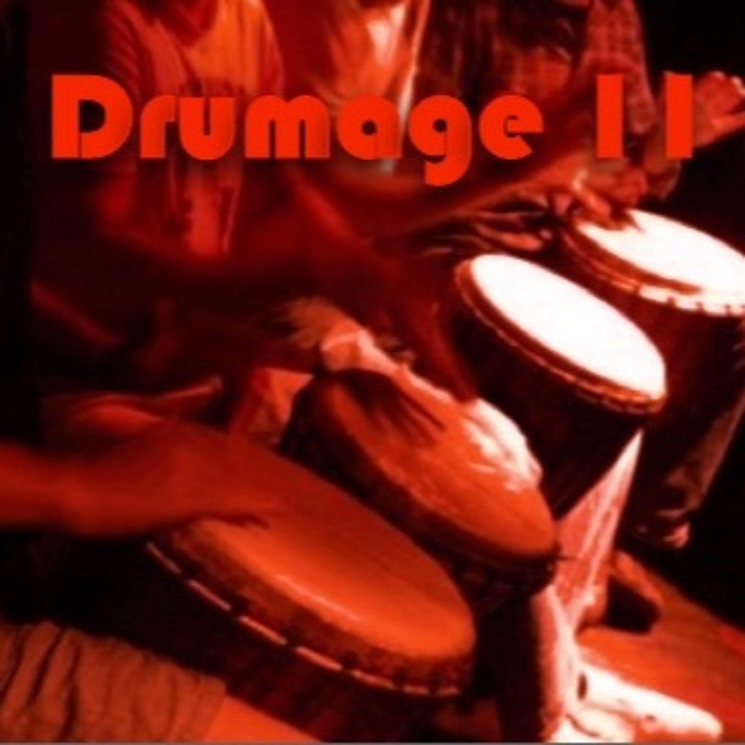 The Drezzil Project