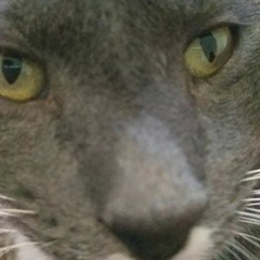 The Island Nation of Nauru