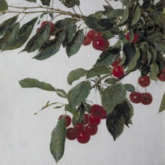 corazón de poeta - jeanette (kober)