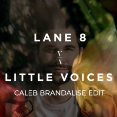 Lane 8 - Little Voices (Caleb (eleo) Brandalise edit)