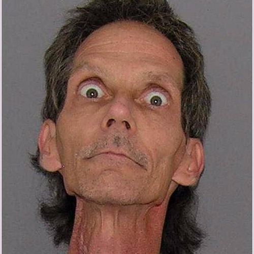 Nutcase Nigel (FREE DOWNLOAD)