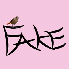 Fake (feat.Ryçe)