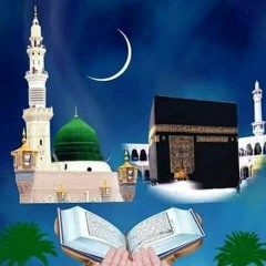 *انا في جوارك يابن آمنة الرضا ﷺ  - يا راحلين إلى منى - المنشد عبدالجليل الانصاري*