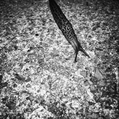 All I just want you to do is take 🌞this ride with me