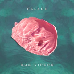 Bus Vipers - Palace