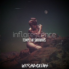 T∄MPL∄ ∅F $∅RR∅VV$ - Delusion