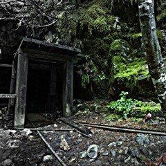 Forestgressive