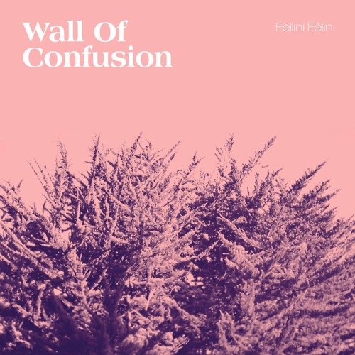 Wall Of Confusion