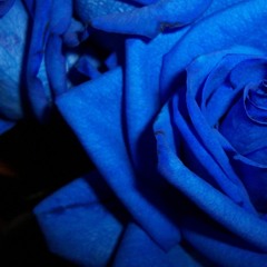 I got you Roses (prod. by HomageBeats)