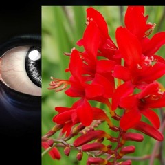 1 - SYNTH IS NOT LOVE