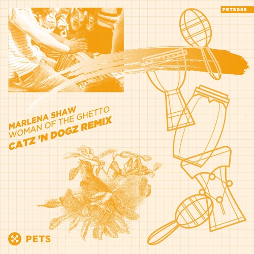Marlena Shaw - Woman of the ghetto (Catz 'n Dogz Beat Remix) [PETS Recordings]
