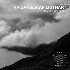 Haidak, Jaap Ligthart  - Follow the Rabbit