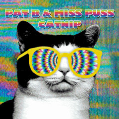 Pat B & Miss Puss - Catnip