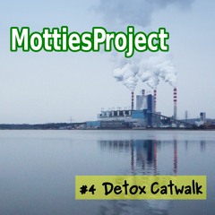 004 Detox Catwalk: ファッション産業から有害化学物質を取り除く業界の取り組み