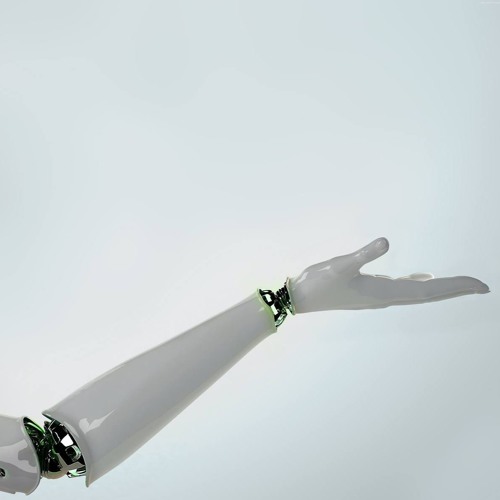 ROBOTICtack - WANG