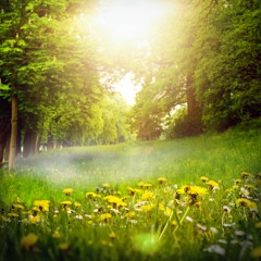 The First Day Of Summer