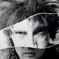 John Cooper Clarke - Evidently Chickentown (SDAT ELECTRONICA REMIX)