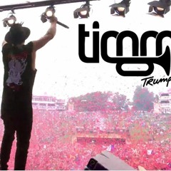 Tomorrowland Belgium 2017  Timmy Trumpet