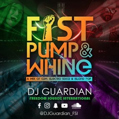 Fist Pump & Whine (DJ Guardian FSI)