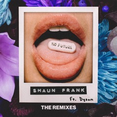 Shaun Frank ft. DYSON - No Future (DIV/IDE Remix)