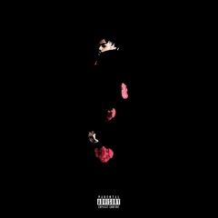 Cheat Codes(Prod. Provision Beats)