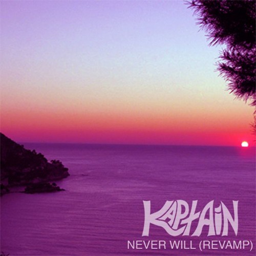 Never Will (Revamp)
