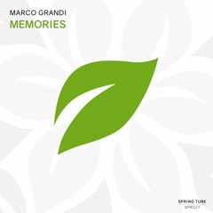 Marco Grandi - Memories (cut)