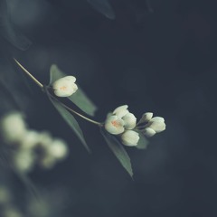 غرام .. ناصر السعيد