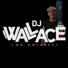 MIXADO DJ WALLACE DO ANTARES (( FINAL DE 2017 ))