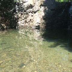 Someone That Loves You Cover