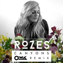 ROZES - Canyons (OLWIK Remix)