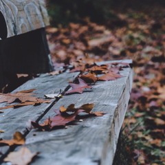 Under the fallen leaves