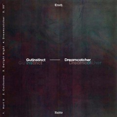 *Track Premiere* Gutinstinct - Hurt U