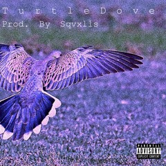 Turtle Dove (Prod. Sqvxlls)